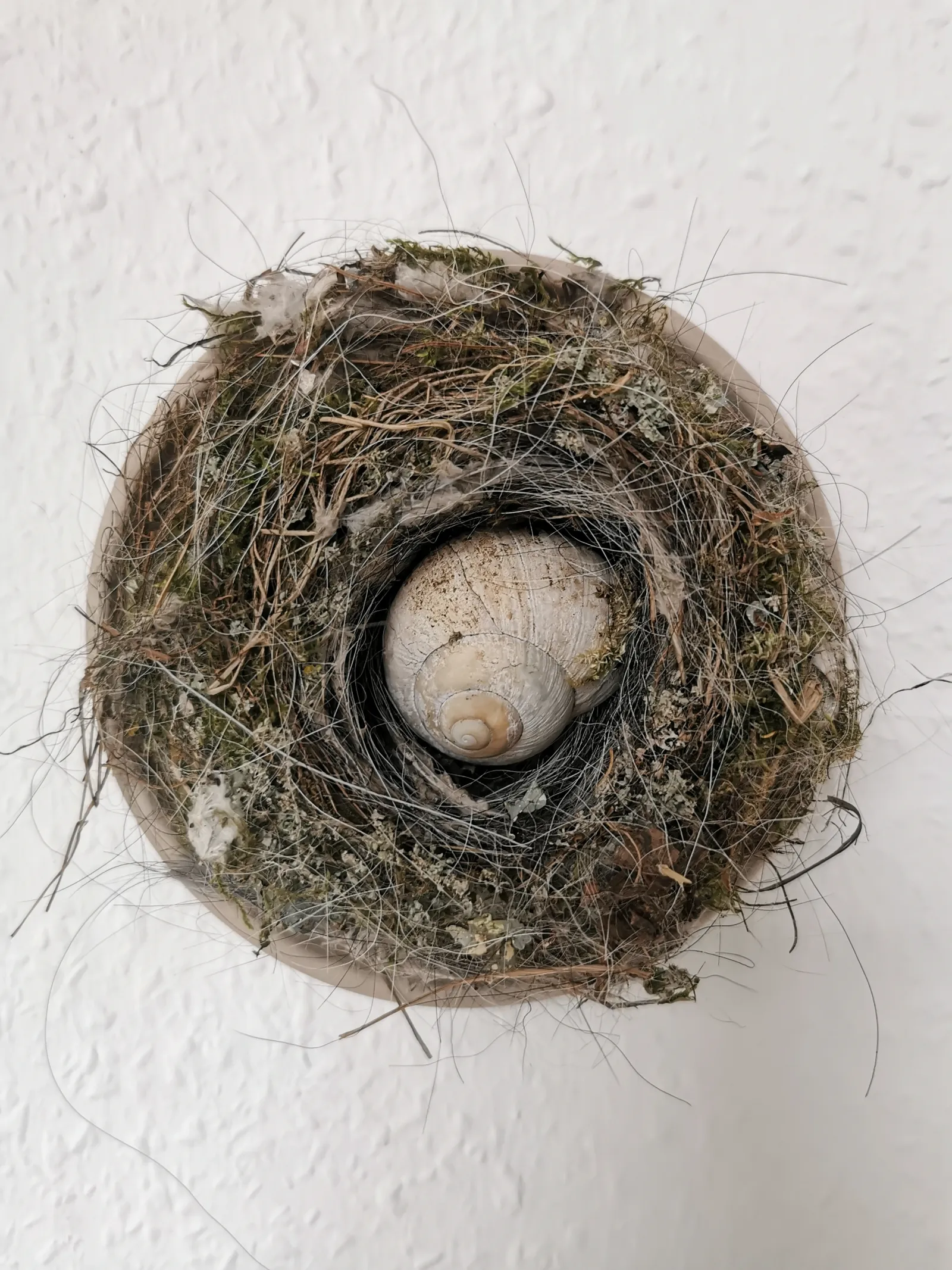 Nestchen Wandobjekt