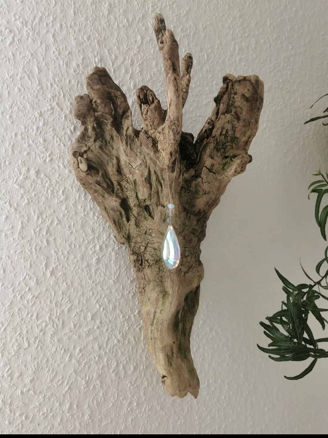 Engel