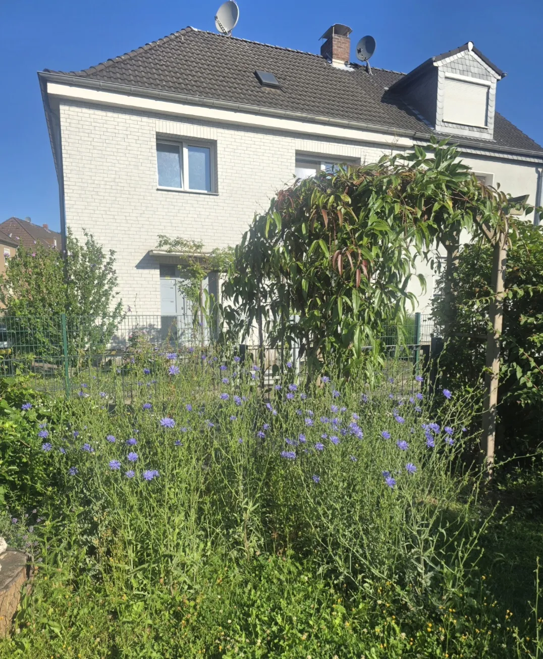 Seelengarten