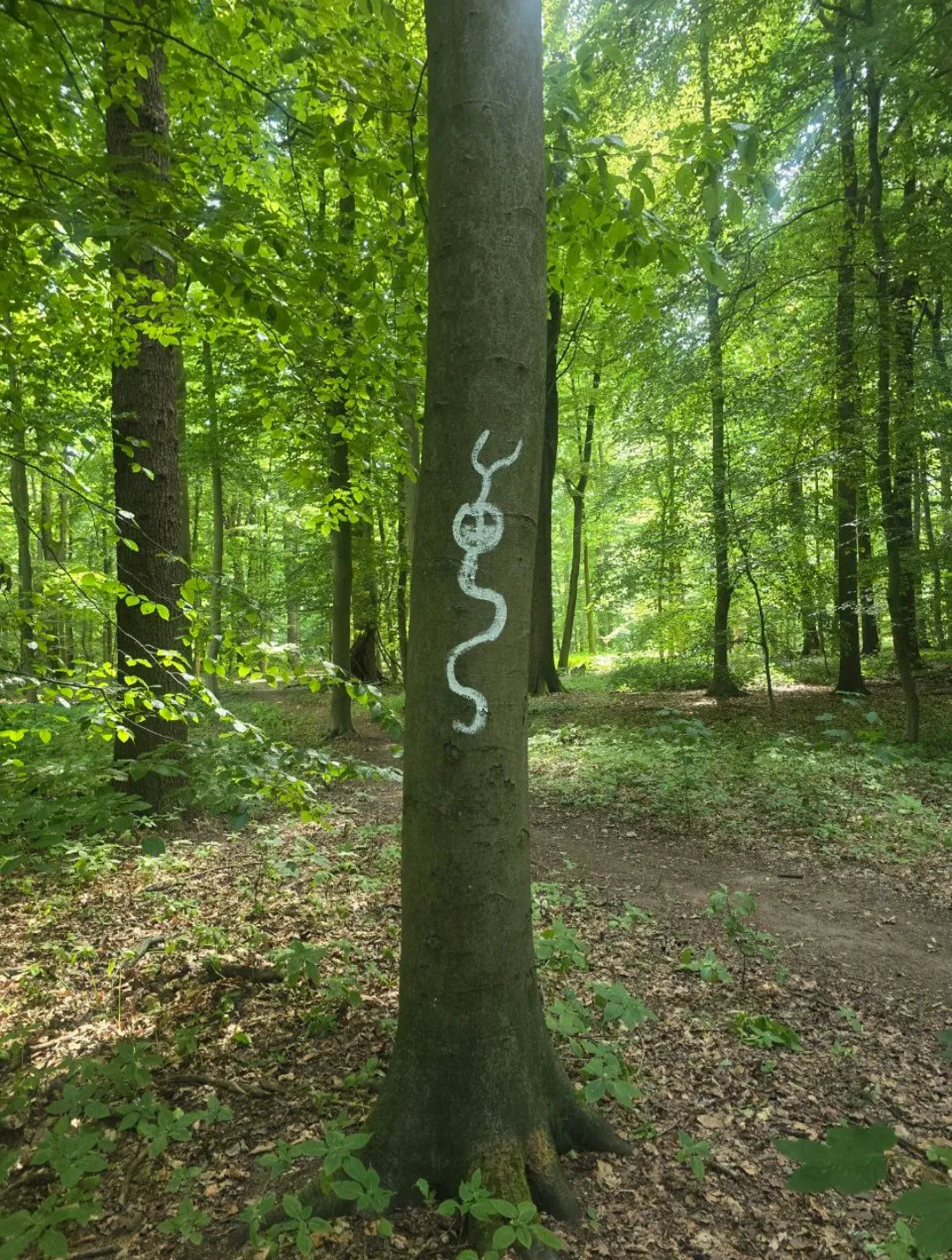 Mein Weg