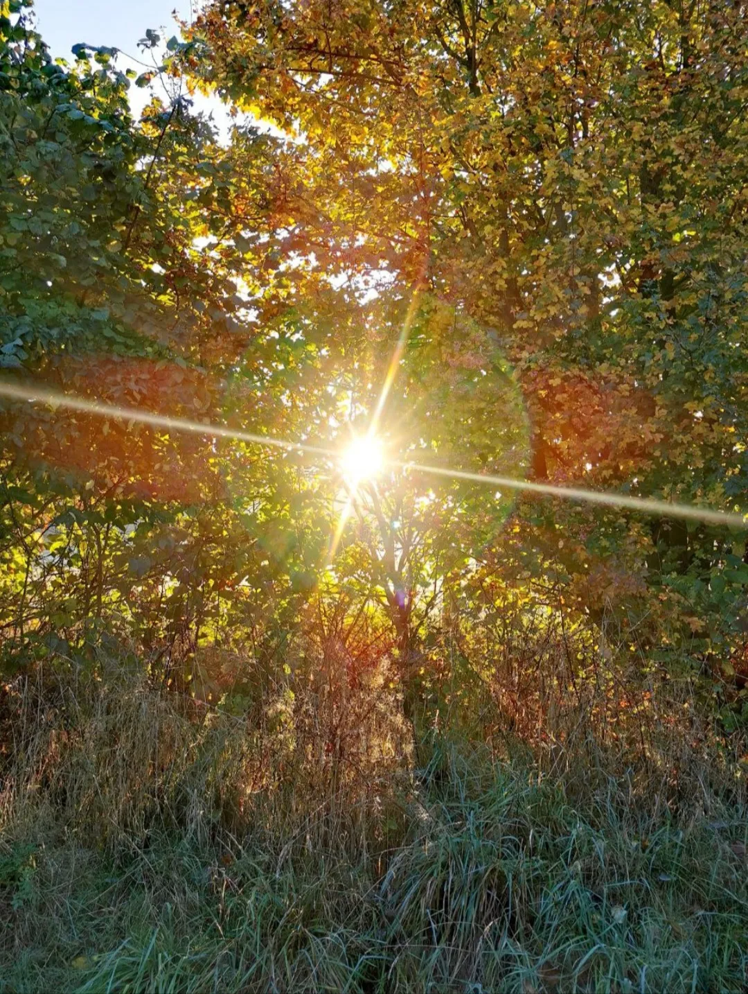 Seelenlicht