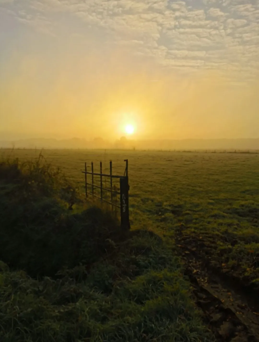 Die Stille
