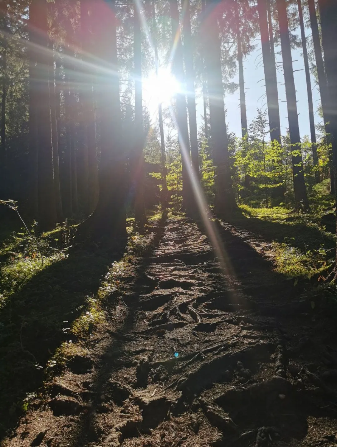 Weltenwandern